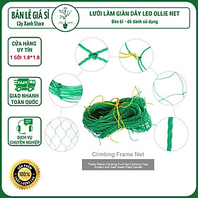 Mua Lưới Làm Giàn Dây Leo (1 8m x 1 8m) Lưới Làm Giàn Dưa Leo  Hoa  Đậu Leo  Giàn Cây Bền Chắc