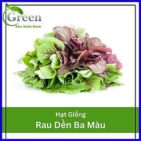 Hạt Giống Rau Dền Ba Màu 20 Gam