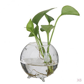 6x Glass Flower Vase Hydroponic Plant Terrarium Container Home Office Decor