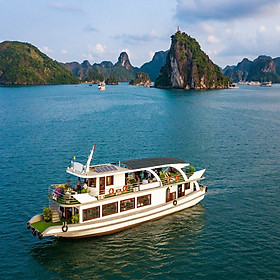 [Tour VIP] Hạ Long 01 Ngày, Tàu 5 Sao Wonder Bay Cruises, Xe Limousine Đưa Đón Từ Hà Nội, Đi Đường Cao Tốc