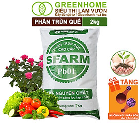 Phân Trùn Quế Greenhome, Bao 2kg, Dinh Dưỡng Hữu Cơ, Không Mùi, Tốt Cho Lan, Bonsai, Rau, Cây Ăn Trái - 1 TRÙN QUẾ 2KG SFARM