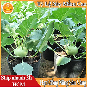 Hạt Giống Su Hào Xanh Tốt Cho Sức Khỏe, Dễ Trồng, Được Yêu Thích Nhất (Gói 2 Gram) - Nông Sản Vàng