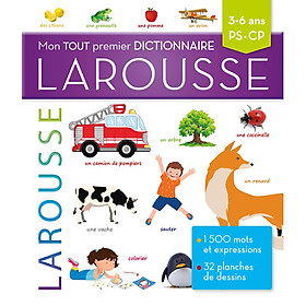 Hình ảnh Review sách Từ điển tiếng Pháp: Mon tout premier dictionnaire Larousse