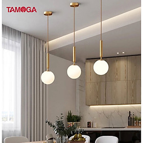 Mua Đèn thả trần hình quả cầu tròn HAPOVA DT 5008 + Tặng kèm bóng led