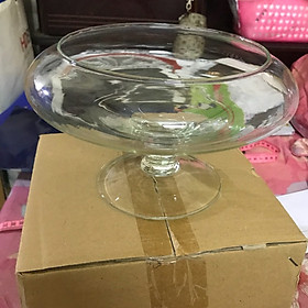 Bể Cá thủy Tinh Hồ Cá Mini Chậu Cây Có Chân