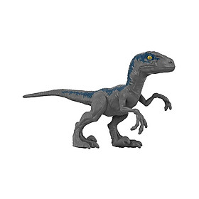 Hình ảnh Đồ Chơi JURASSIC WORLD MATTEL Khủng Long Velociraptor Blue 6 Inch HMK81/GWT49