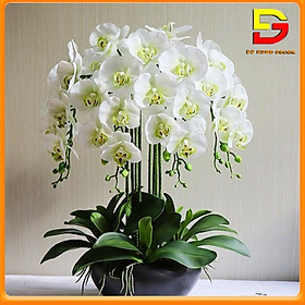 Mua Chậu Lan Hồ Điệp Giả Bình Hoa Trang Trí Phòng Khách Sảnh Lễ Tân Sang Trọng Cao 60cm Rộng 46cm DG-120