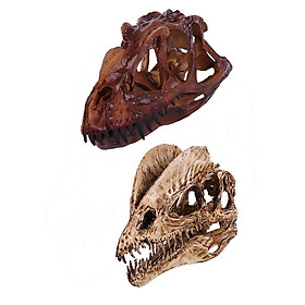 Pack 2 Resin Dinosaur Skull Model Dilophosaurus Ceratosaurus Collectibles
