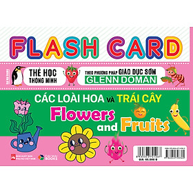 Sách - Flash Card : Thẻ học thông minh : Theo phương pháp giáo dục sớm : Glenn Doman ( Đại Mai ) - lẻ tùy chọn