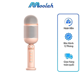 Mua Micro Karaoke Bluetooth Cầm Tay SK-06 Cao Cấp Nâng Giọng Cực Chất Kiêm Loa Bluetooth Mini Kết Nối 2 Mic Song Ca Âm Thanh Siêu Đỉnh Mic Hát Karaoke Không Dây Gia Đình Có Thu Âm Có Thẻ Nhớ USB AUX Mic LiveStream Không Dây Giá Rẻ Bản Nâng Cấp - ML056