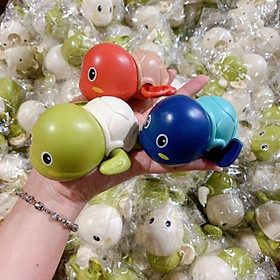 Mua Rùa thả hồ bơi