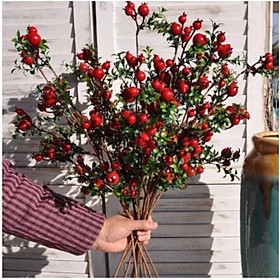Mua Cành Quả Lựu Phú Quý Tài Lộc Trang Trí Dài 60cm