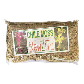 Mua Dớn Chile (Dớn Trắng) Giá Thể Trồng Lan 100Gr