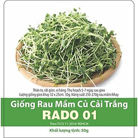  Hạt Giống Rau Mầm Củ Cải Trắng 50 Gram