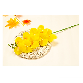 Mua Cành lan hồ điệp giả cao cấp - 1 cành - 9 bông - dài 100cm - Cây giả  hoa lụa Decor trang trí nhà cửa