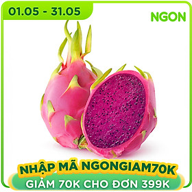 Chỉ Giao HCM - Thanh long đỏ Trái - 600Gr