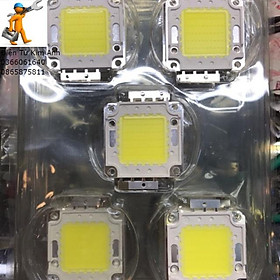 Mua Nhân led 36v 50w