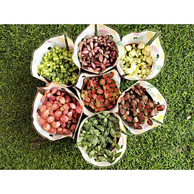 Combo 50 chậu cẩm nhung đẹp