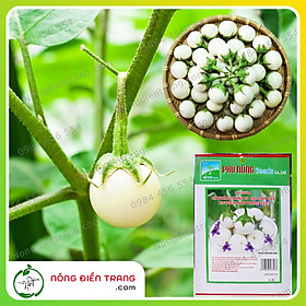 Hạt Giống Cà Pháo Trắng F1 Cao Sản - Trồng Rau Xanh Rau Sạch Organic Bằng Đất Sạch, Mùn Dừa Và Phân Bón Hữu Cơ - Phú Nông