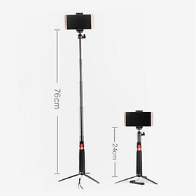 Mua Gậy điện thoại  Gậy Gopro Carbon Benro SC1