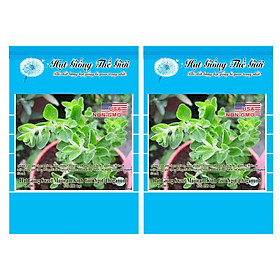 Bộ 2 Gói Hạt Giống Sweet Marjoram - Kinh Giới Ngọt (Origanum majorana) 100h