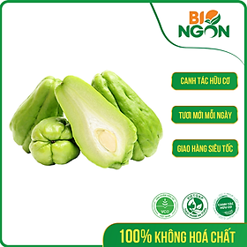 [Chỉ Giao HCM] - Trái Su Su (450-550g/vỉ)