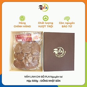 NẤM LINH CHI ĐỎ PLN - Nguyên tai. Hộp 500g - Giống Nhật Bản