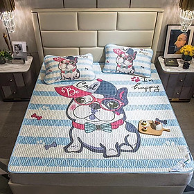 Mua Chiếu Điều Hòa Cao Su Non Latex 5D 2020 Chó Kẻ Xanh