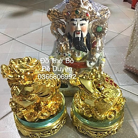 Mua Combo cóc tỳ hưu vàng  ông tiền nhỏ