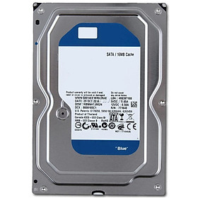 Mua Ổ cứng HDD PC 250G Blue - Sata 3.5 in