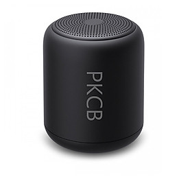 Loa Nghe nhạc bluetooth mini 5.0 Pin 10 Giờ PKCB120 Đen - Hàng Chính Hãng