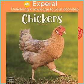 Sách - Chickens Calendar 2024  Square Farm Animals & Birds Wall Calendar - 16 Month by  (UK edition, paperback)