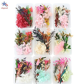 Mua Hộp hoa khô mix tổng hợp trang trí resin