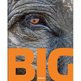 Sách - Big - A Photographic Album of the World's Largest Animals by Marko Dimitrijevic (UK edition, hardcover)