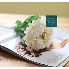 Mua Hoa giả - Cành cúc mẫu đơn nhân tạo giống thật đến 99%  cao 58cm sang trọng cao cấp  hoa decor trang trí