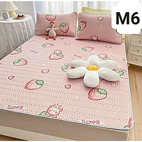 Chiếu điều hoà cao su non 2D Tencel Latex có in hoạ tiếtH&H BEDDING