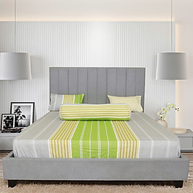 Bộ drap gối cotton phối màu Hometex - C
