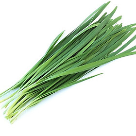 Mua Hạt giống hẹ cao sản Nhật Bản VTP32