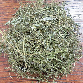 Mua 1KG CÂY DIỆP HẠ CHÂU KHÔ   CHÓ ĐẺ RĂNG CƯA (khô   sạch  tốt)