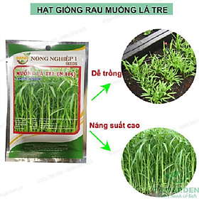 Hạt giống rau muống lá tre