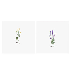 2Pcs Embroidery Starter Kit With Pre Printed
