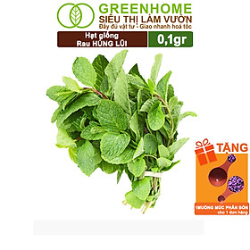 Mua Hạt Giống Bạc Hà Âu Greenhome  Gói 0 1gr  Húng Lũi Dễ Trồng Quanh Năm  Nảy Mầm Cao  Thu Hoạch Nhanh  Năng Suất Cao G02