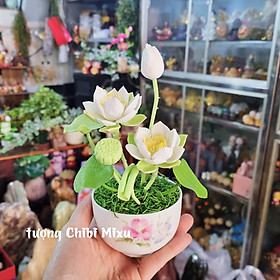 Mua Chậu hoa sen bằng đất sét Nhật 20cm
