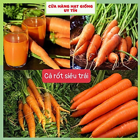 Mua Hạt Giống Cà Rốt Siêu Trái F1 Loại Dễ Trồng & Dễ Thu Hoạch Tặng kèm Hướng Dẫn Trồng