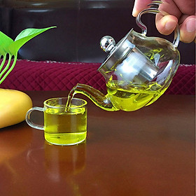 Hình ảnh Âm pha trà thủy tinh với bộ lọc bằng inox 304, dùng cho gia đình, văn phòng, loại nhỏ dung tích 250ml