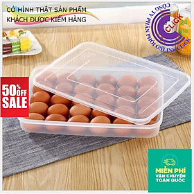 Khay Đựng Bảo Quản Trứng Trong Suốt 24 Qủa Có Nắp Đậy - Hàng Nhựa Việt Nhật