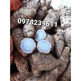 Mua 1kg  nghệ đen tươi