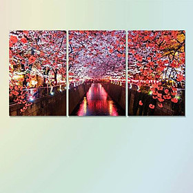 Bộ 3 tranh canvas không viền treo tường hoa đào "mùa xuân nhật bản" w537