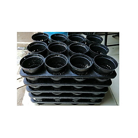 COMBO 5KHAY NHỰA CỨNG 12 LỖ + 60 CHẬU NHỰA FI 10CM TRỒNG RAU ƯƠM MẦM