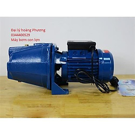 Mua MÁY BƠM NƯỚC CON LỢN Máy Bơm nước gia đình 100% dây đòng  trục Inox